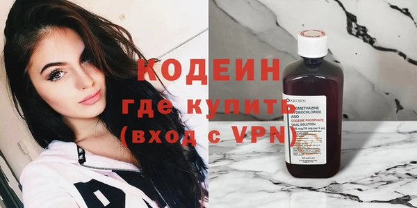амф Гусев