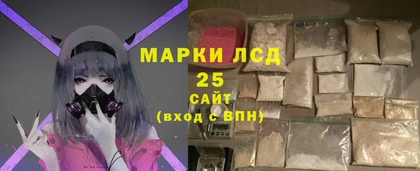 амф Гусев