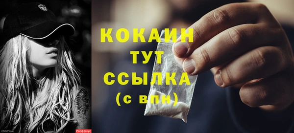 амф Гусев