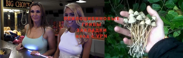 амф Гусев