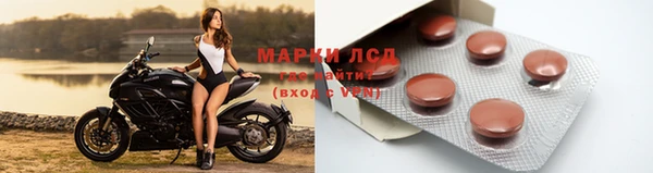 амф Гусев