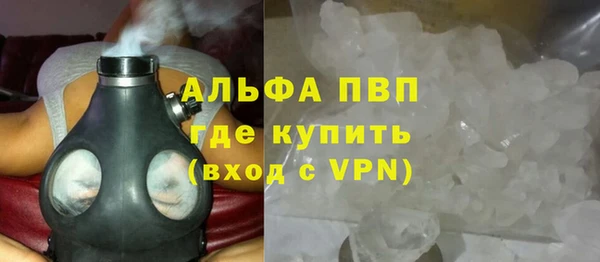 амф Гусев