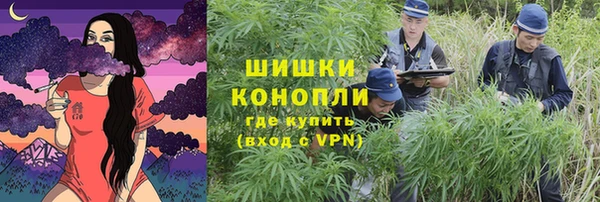 амф Гусев