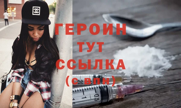 амф Гусев