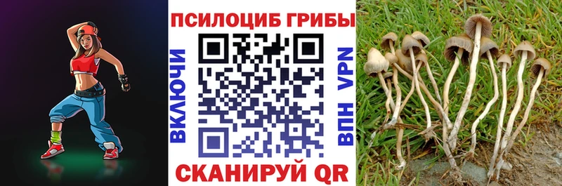 Псилоцибиновые грибы GOLDEN TEACHER  Семёнов 